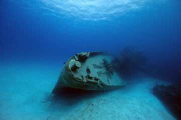 Kittiwake (BWI)