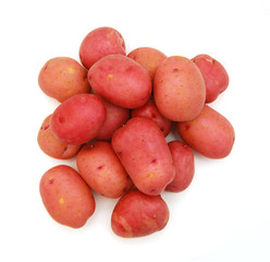 Red Potato with white background