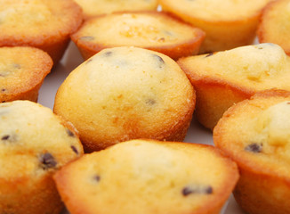 Fresh chocolate chip muffin close up on background