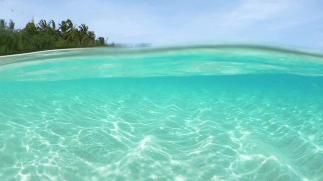 4K | Shallow Water Over Under | Maldives