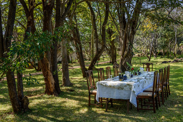 Luxurious outdoor dining on the lawn among the trees, table and chairs set for dinner
