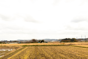 Fototapeta na wymiar Rural scenery in Japan / A serene rural landscape of Ichihara city, Chiba prefecture, Japan