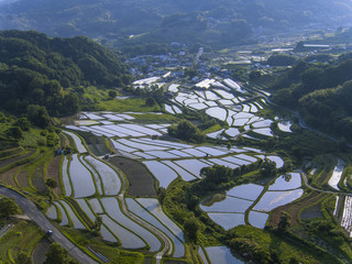 奈良県明日香村稲渕の棚田（ドローン撮影）
