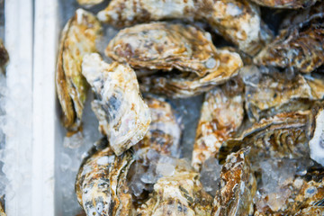 Fresh oysters on ice for sale in Kuromon Ichiba Market