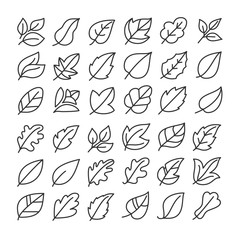 Leaves icon set. Leaf logo. Vector illustration