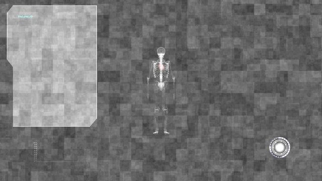 data human anatomy skeleton and heart concept healthcare