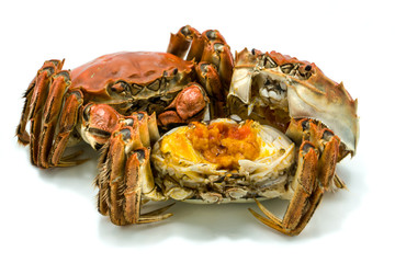 Isolated Shanghai Chinese hairy crab, mitten crab steamed, autumn winter December season