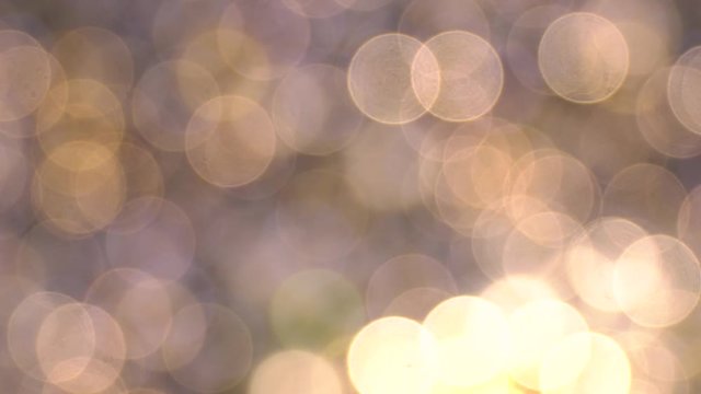 abstract bokeh light,christ mas bokeh background