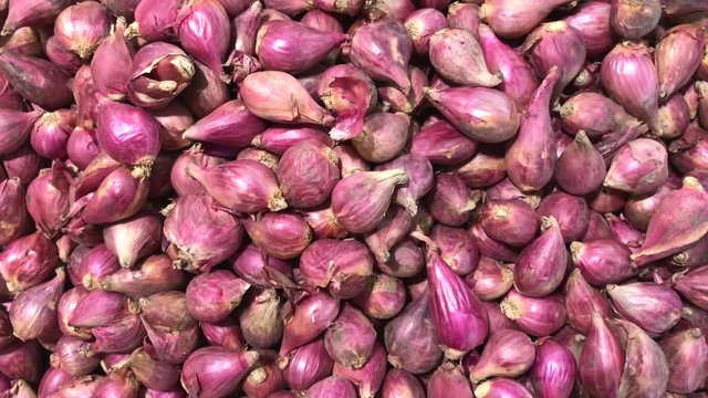 Fresh organic healthy red garlic in the food market. Garlic vegetable. Close up 4K footage.