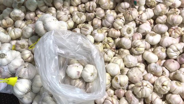 Fresh organic healthy garlic in the food market. Garlic vegetable. Close up 4K footage. Woman hand choosing garlic.