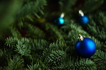 Christmas ball on the branches fir.