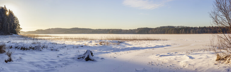 Fototapeta na wymiar Stump on the lake shore in winter
