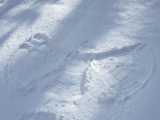 Trace figure of a people in the snow. Playful winter mood.