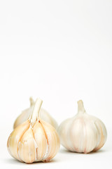 Garlics isolated on white