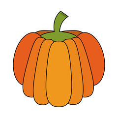 Pumpkin vegetable isolated