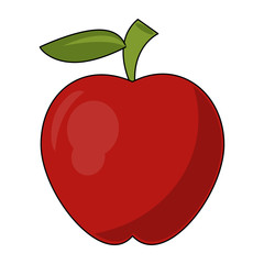 Apple fruit isolated