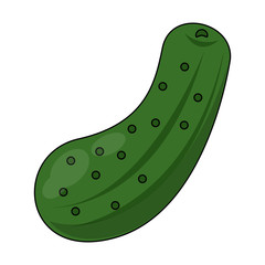 Pickle vegetable isolated