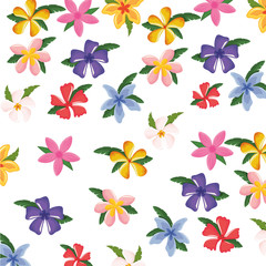 Fototapeta na wymiar pattern with flowers vector illustration