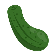 Pickle vegetable isolated