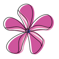 flower with petals pink  vector illustration