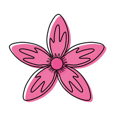 flower with petals pink  vector illustration