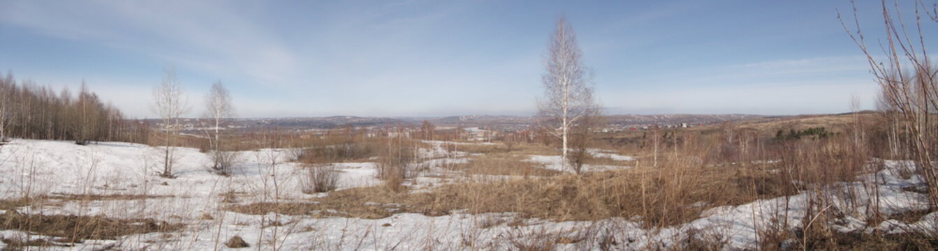 taiga nature