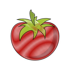 Tomato fresh vegetable