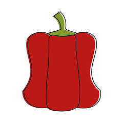Pepper vegetable isolated