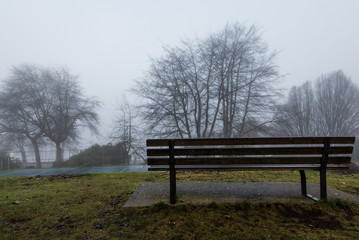 winter mist in vancouver stanley park