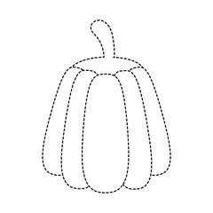 Pumpkin vegetable isolated