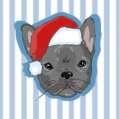 Christmas greeting card. Pug dog with red Santa s hat