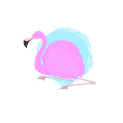 Pink Flamingo and blue circle. Vector object isolated on white background