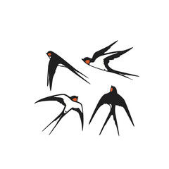 Collection Swallows  template logo or emblem. Vector illustration