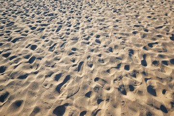 Beach sand close up and detail in sunlight