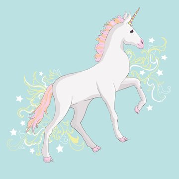 Unicorn vector icon isolated on white. Head portrait horse sticker, patch badge. Cute magic cartoon fantasy cute animal. Rainbow hair. Dream symbol. Design for children