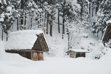 Historic Villages of Shirakawa-go, Japan in snowy day, film tone, classic look.
