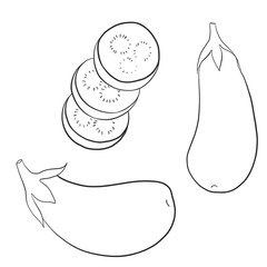 vector drawing eggplants