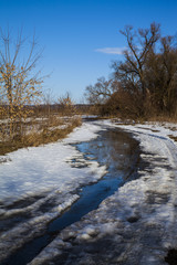 Beautiful landscape. Early spring.