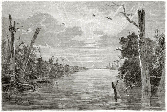 Ancient stretch of water with vegetation emerging from the surface. Old view of a lake in Borneo inland. Created by France after Schwaner published on Le Tour du Monde Paris 1862