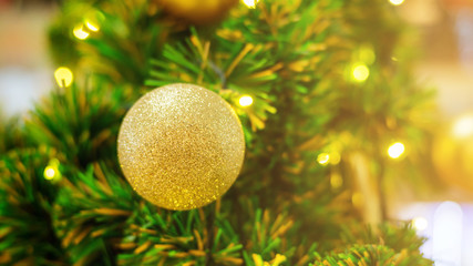 Golden ball hanging on a Christmas tree.