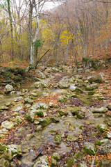 River in the mountains background