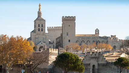 Fototapeta na wymiar remparts et palais des papes d'Avignon