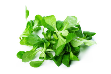 Spinach isolated on white background