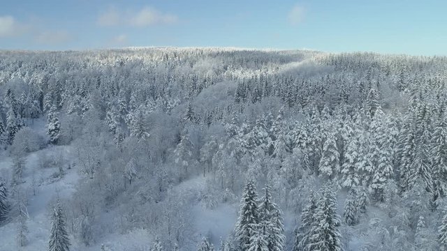 Aerial shot along the forrest among the Carpathian Mountains in winter 4K