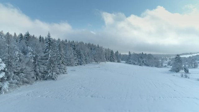Aerial shot along the meadow among the Carpathian Mountains in winter 4K