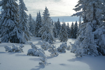 Winter Giant Mountains