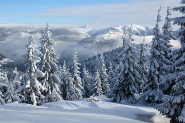 Fototapeta na wymiar Winter Giant Mountains