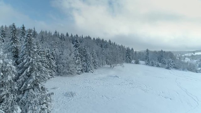 Aerial shot along the meadow among the Carpathian Mountains in winter 4K