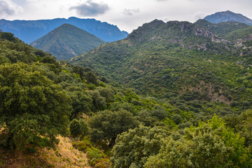 Fototapeta na wymiar Spain Andalusia sierra de Grazalema
