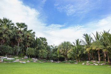 Landscaping lawn design.